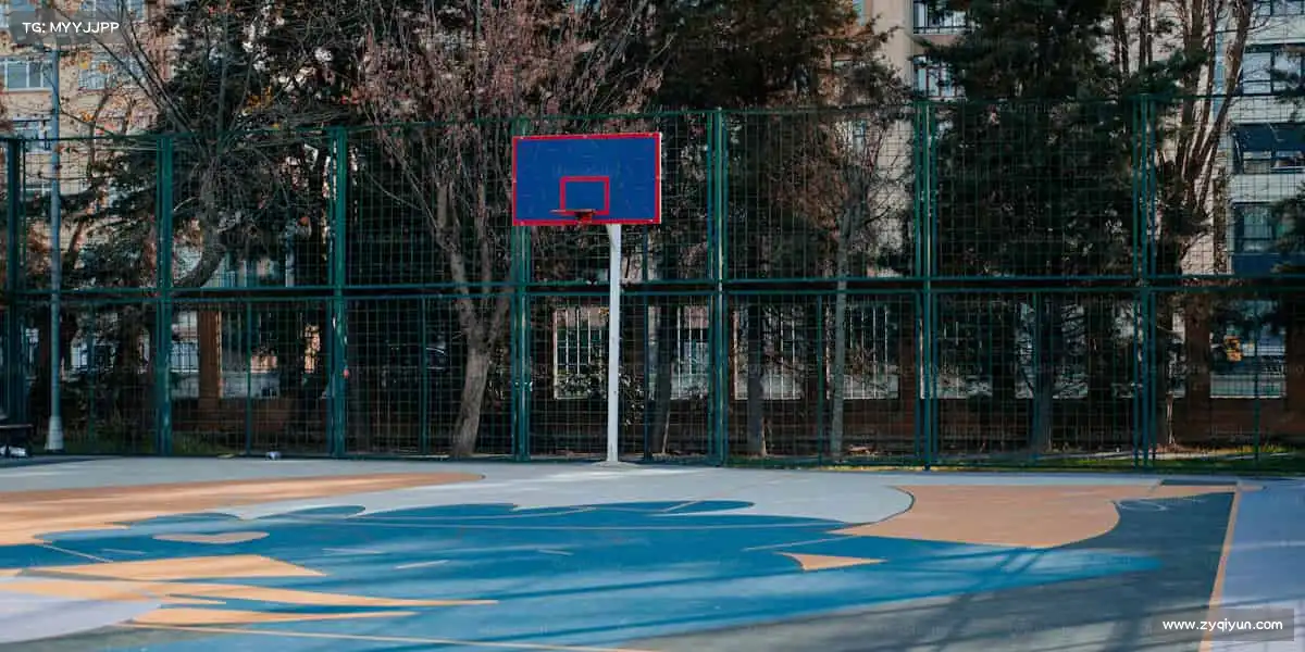 <strong>易游</strong>🏓小球转动大梦想，拼搏成就新高度！来这里，遇见你的运动初心✨